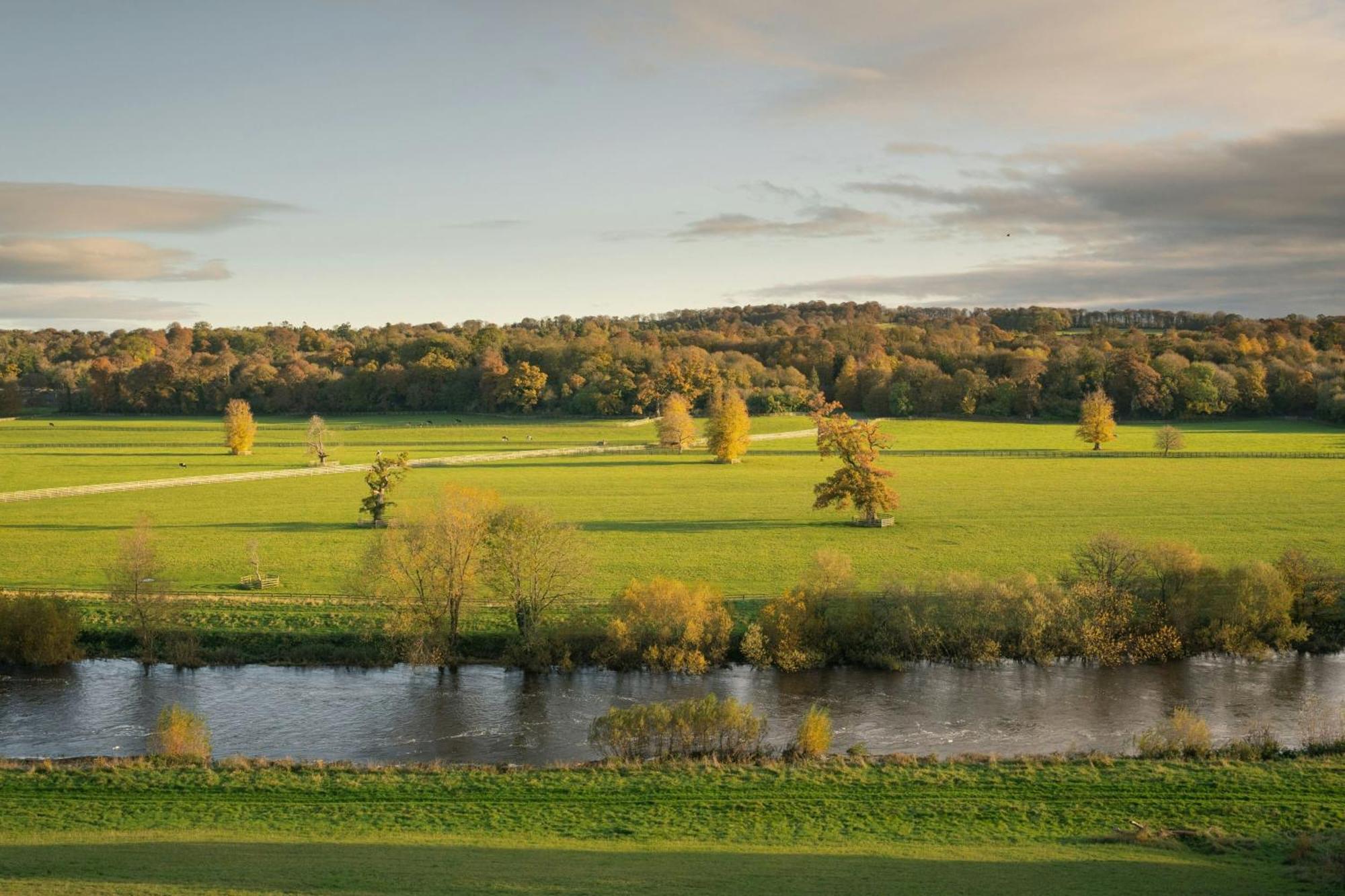 Mount Juliet Estate, Autograph Collection 5*